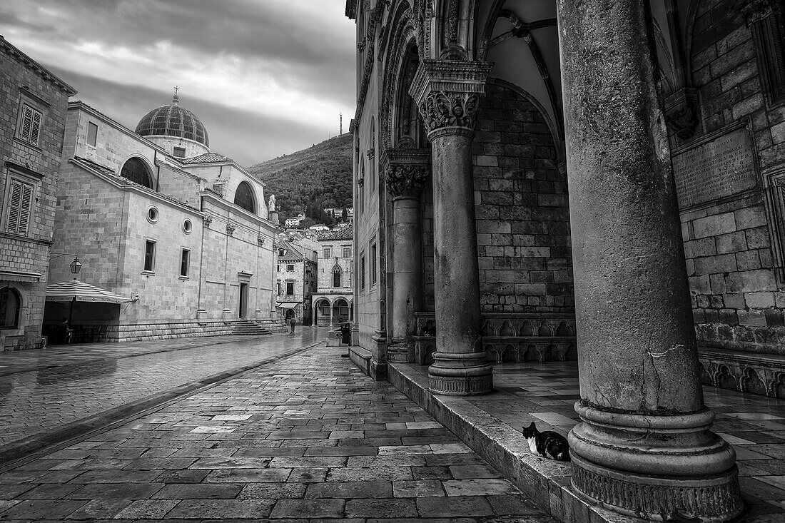 Sunrise in Dubrovnik, Croatia, with detailed view of the architecture and a cat sitting along the street; Dubrovnik, Croatia