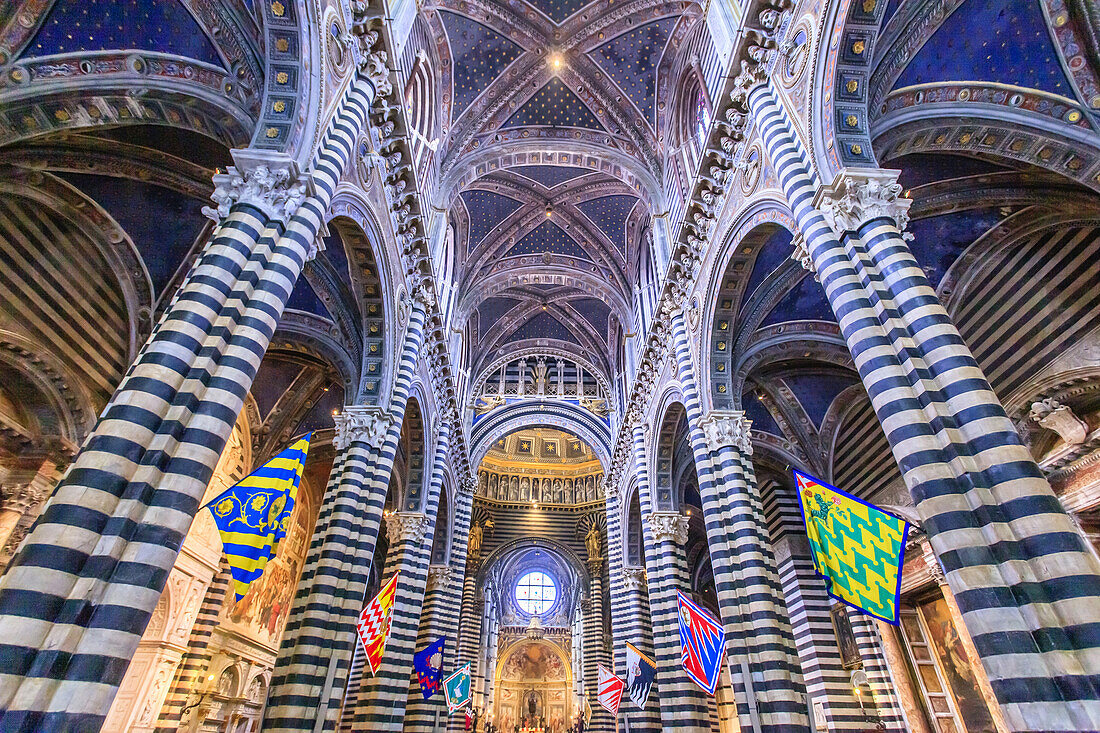 District flags of Siena decorate the black and white striped marble columns and arches inside the elaborate Duomo di Siena; Siena, Province of Siena, Tuscany, Italy