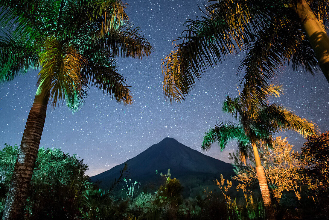 Der Vulkan Arenal, ein aktiver Stratovulkan, wird von Palmen unter einem sternenübersäten Nachthimmel eingerahmt; Provinz Alajuela, Costa Rica