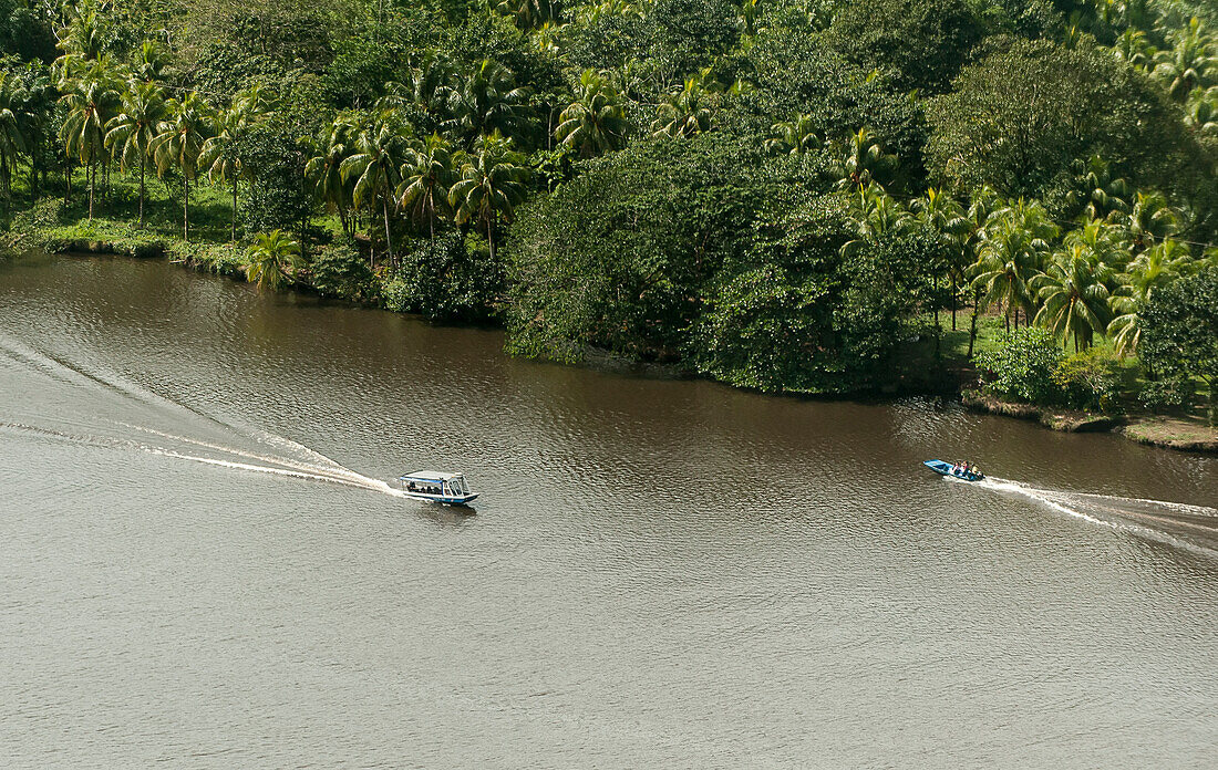 Boats traveling through a river in the lowland rainforest in Tortuguero National Park; Limon Province, Costa Rica