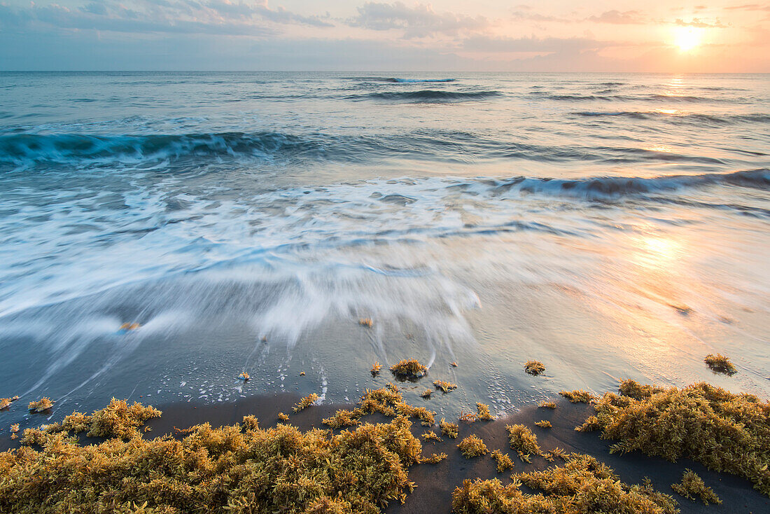 Sonnenaufgang über dem Karibischen Meer an der Ostküste Costa Ricas mit der Meeresbrandung, die die Sandküste von Tortuguero umspült, und Algen, die den Rand des Wassers säumen; Provinz Limon, Costa Rica.