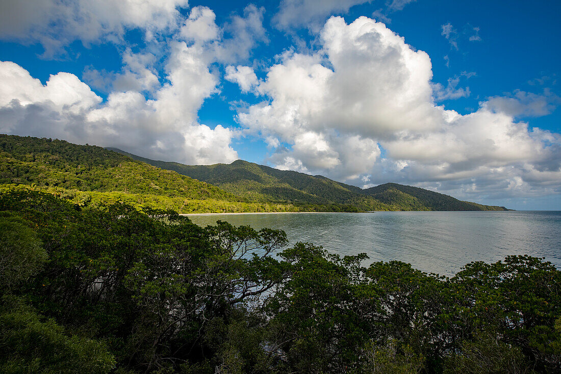Blick auf die Berge und die Vegetation am Cape Tribulation, wo der Daintree-Regenwald auf das Korallenmeer an der Pazifikküste im östlichen Kuku Yalanji trifft; Cape Tribulation, Queensland, Australien