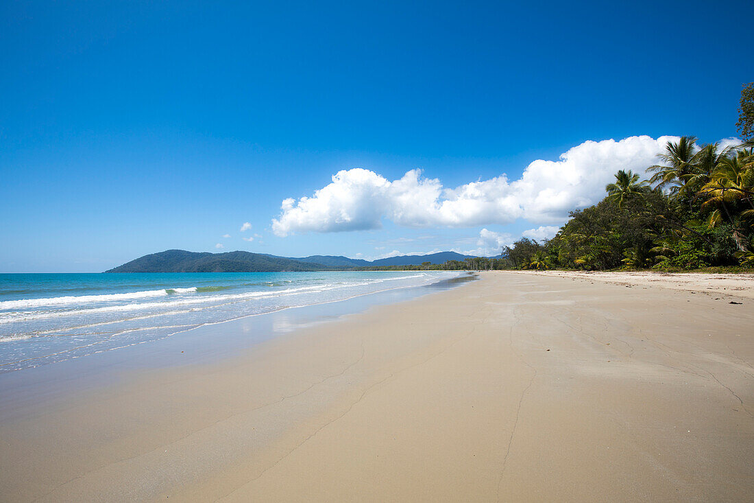 Unberührter Sandstrand von Thornton Beach mit der Brandung des Korallenmeers trifft auf den Daintree-Regenwald an der Pazifikküste in Eastern Kuku Yalanji; Thornton Beach, Queensland, Australien.