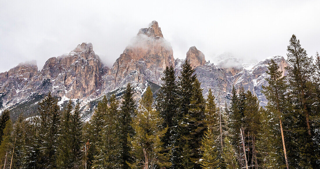 The jagged mountaintops of the Dolomites rising up from the pine tree forest in the Alta Badia Region on a wintry day; South Tyrol, Italy