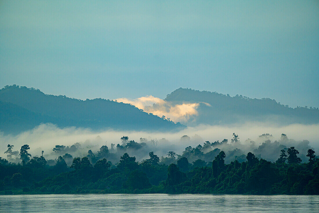 Dawn morning mist rising over the jungle covered banks of the Ayeyarwady (Irrawaddy) River at dawn; Rural Jungle, Kachin, Myanmar (Burma)
