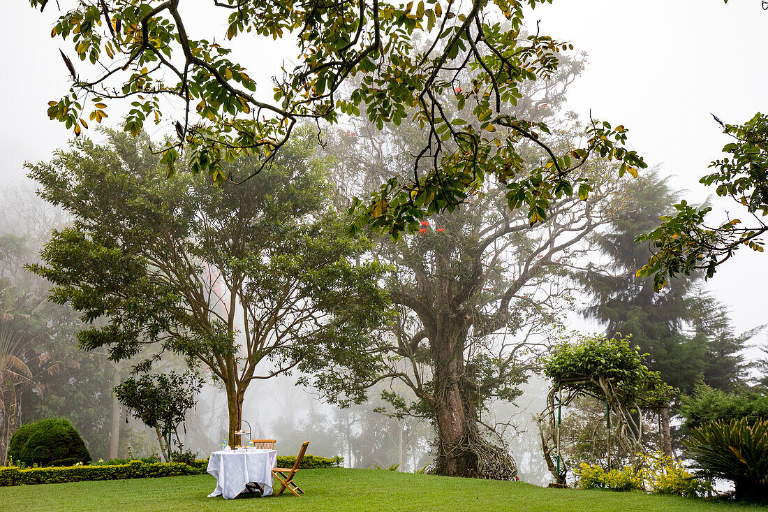 Nachmittagstee auf dem Rasen des ehemaligen Bungalows von Sir Thomas Lipton auf dem Dambatenne Tea Estate im Hügelland; Dambatenne, Badulla District, Sri Lanka.