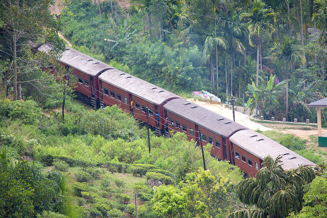 Hill Train on the Demodara Loop in the Hill Country; Demodara, Hill Country, Sri Lanka