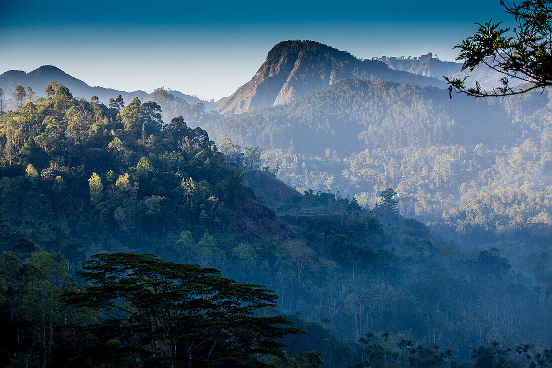 Blick auf das Hügelland mit dem Little Adam's Peak in der Ferne und die umliegende bewaldete Landschaft um Demodara; Provinz Uva, Sri Lanka.