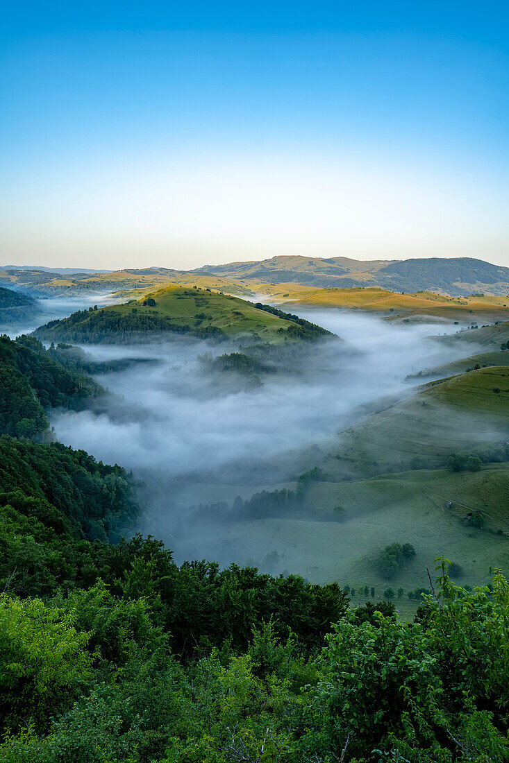 Morgennebel in den Tälern unterhalb von Salciua in Sub Piatra im Trascaului-Gebirge; Salciua, Sub Piatra, Siebenbürgen, Rumänien.
