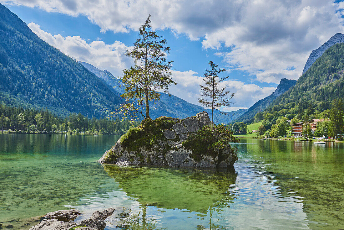 Fichte (Picea abies) auf einer kleinen, felsigen Insel im Hintersee, Bayerische Alpen; Berchtesgadener Land, Ramsau, Bayern, Deutschland.