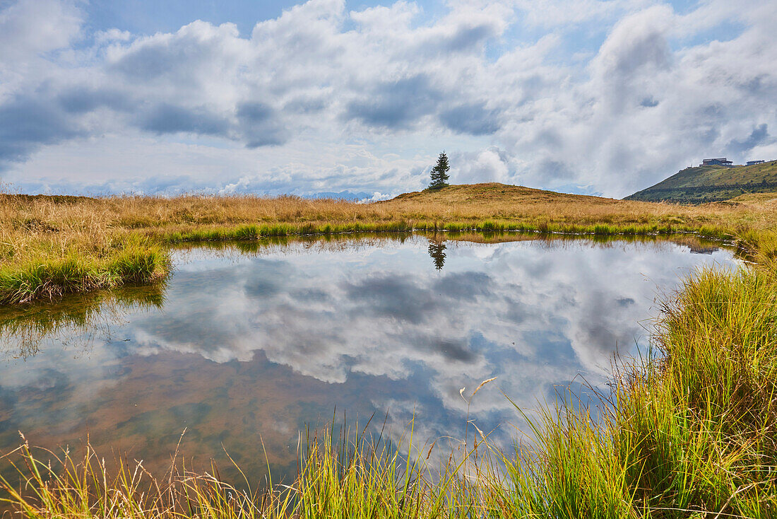 Reflection of clouds in a pond on Mount Schüttenhöhe with a lone conifer on the horizon in the mountains above Zell am See, Kaprun; Salzburg State, Austria