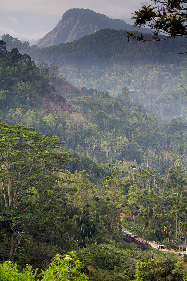 Bergzug von Ella durch den Wald nach Demodara mit Little Adam's Peak in der Ferne; Demodara, Hügelland, Provinz Uva, Sri Lanka.