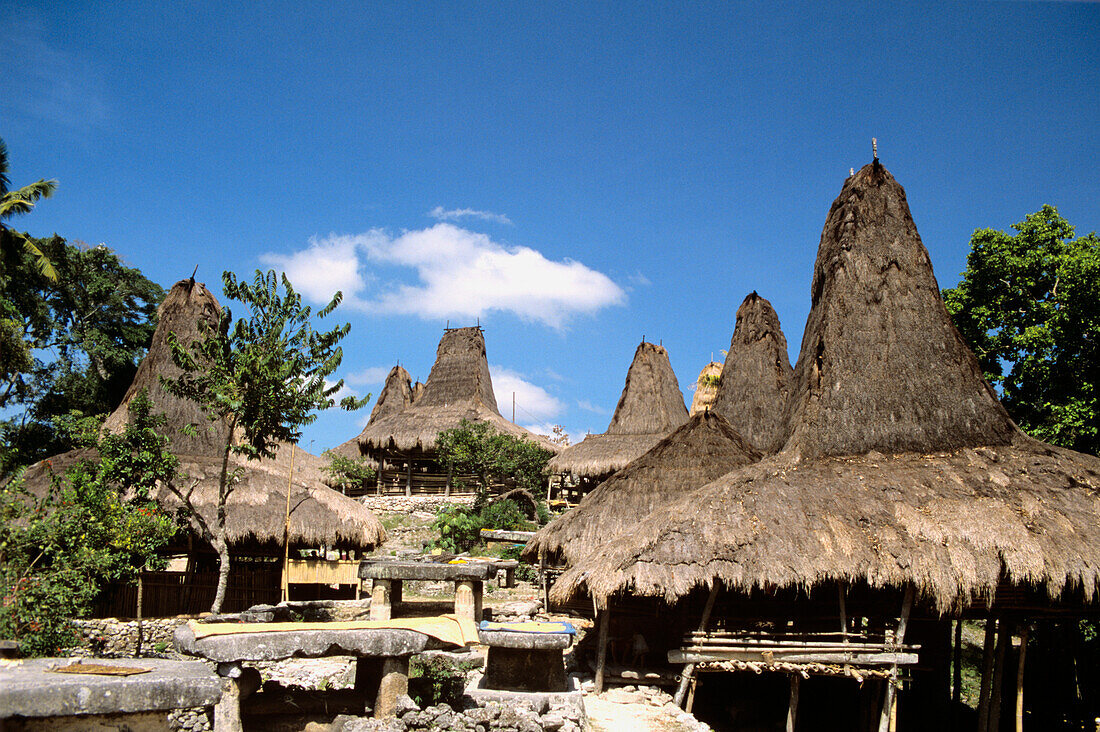 Indonesia, Traditional houses with Megalithic Monuments; Sumba Island