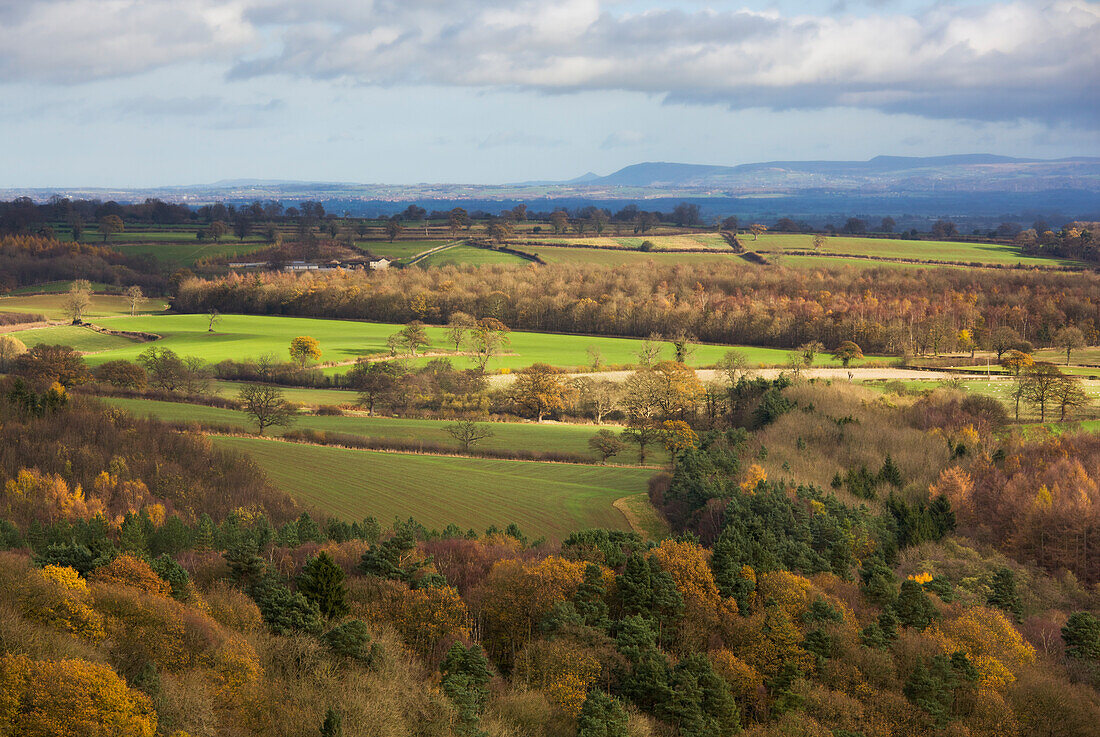 Landschaft im Herbst am Fluss Nidd; Nidderdale, North Yorkshire, England