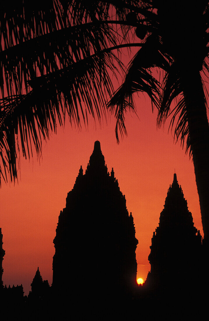 Indonesia, Java, Prambanan, Silhouette Of Temple At Sunset With Palm Tree