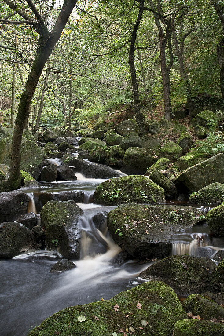 Water Flowing Over Moss Covered Rocks In Peak District National Park; Derbyshire England