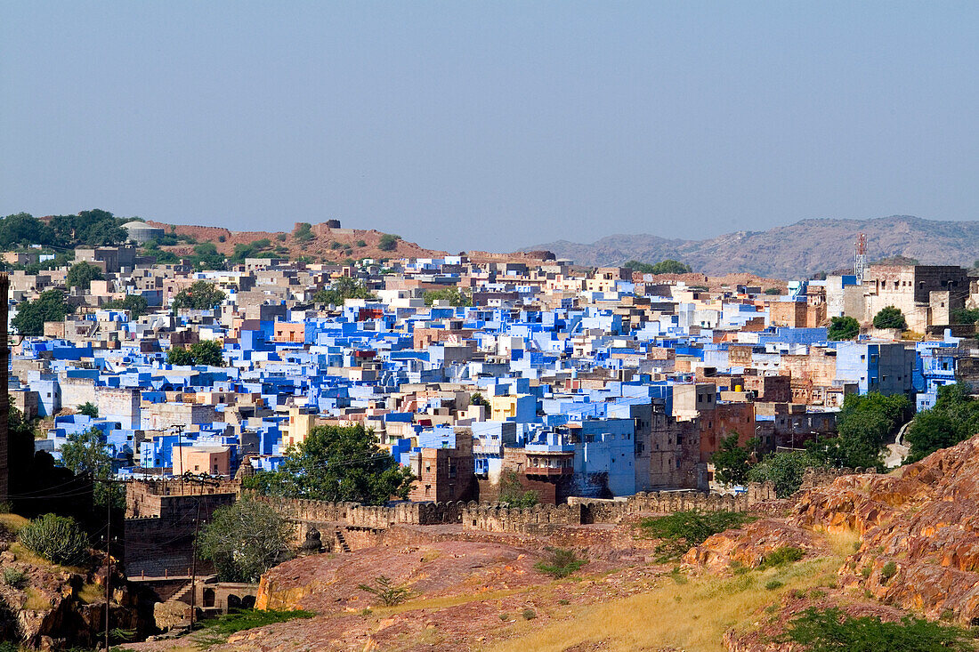 Indien, Blaue Stadt Jodhpur mit allen blauen Gebäuden, aufgenommen vom Fort Mehrangarh; Rajasthan.