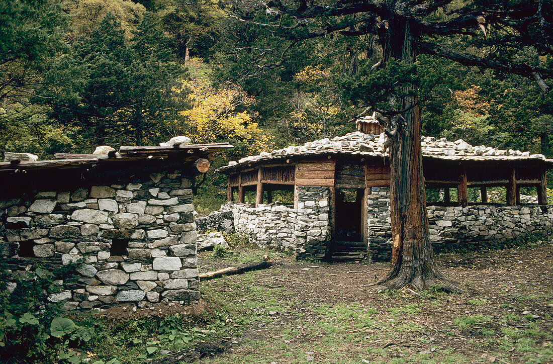 Himalaya, Stone-built shepherd's hut among trees; Bhutan