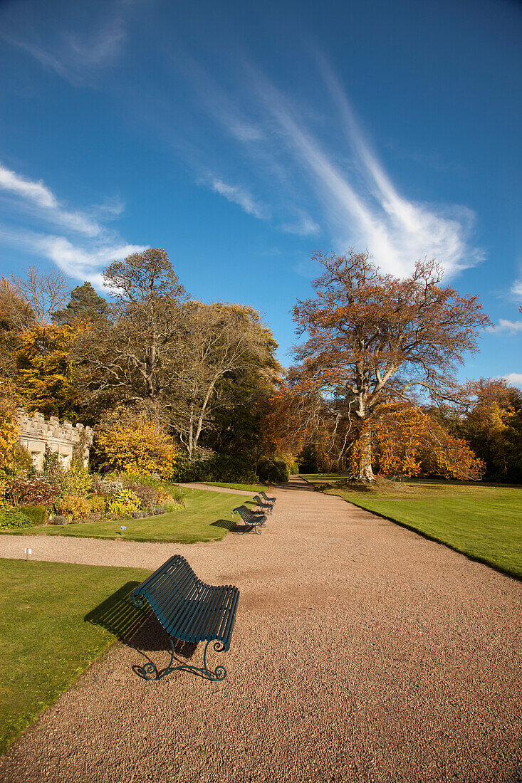 A Bench On A Path With Trees In Autumn Colours; Scottish Borders Scotland