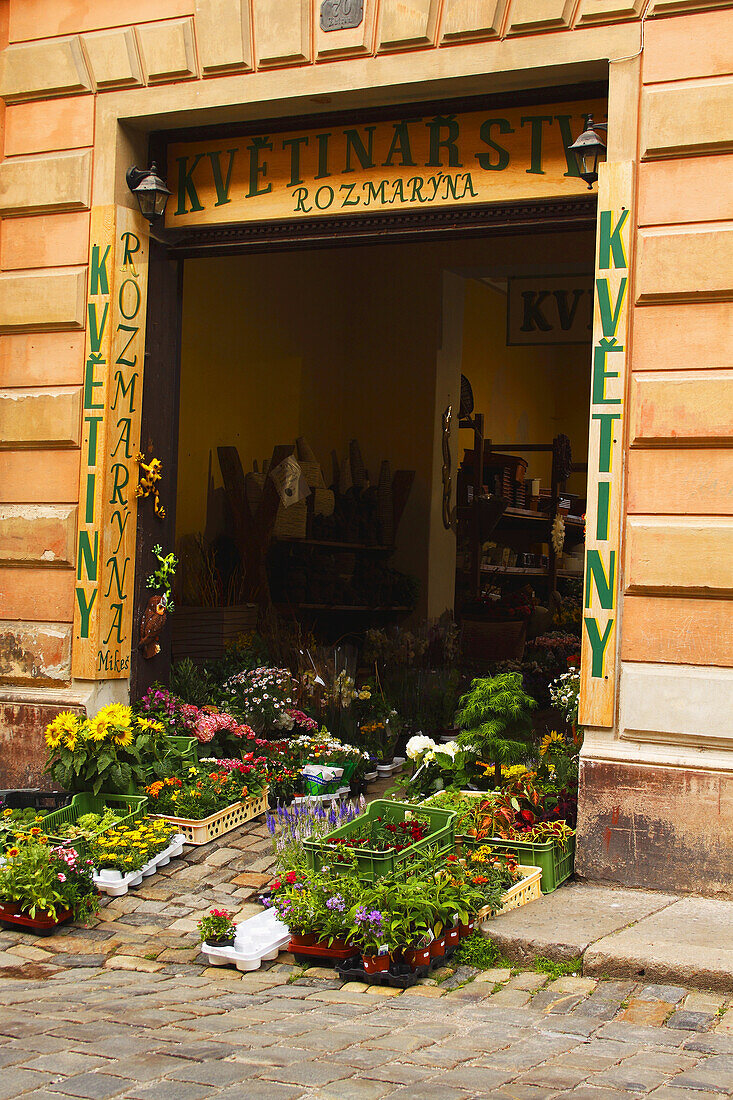 Blumenladen in der Altstadt; Chesky Krumlov Jihocesky Tschechische Republik