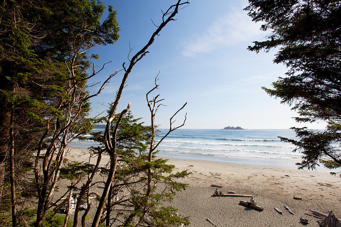 Florencia Bay In Pacific Rim National Park Near Tofino; British Columbia Canada