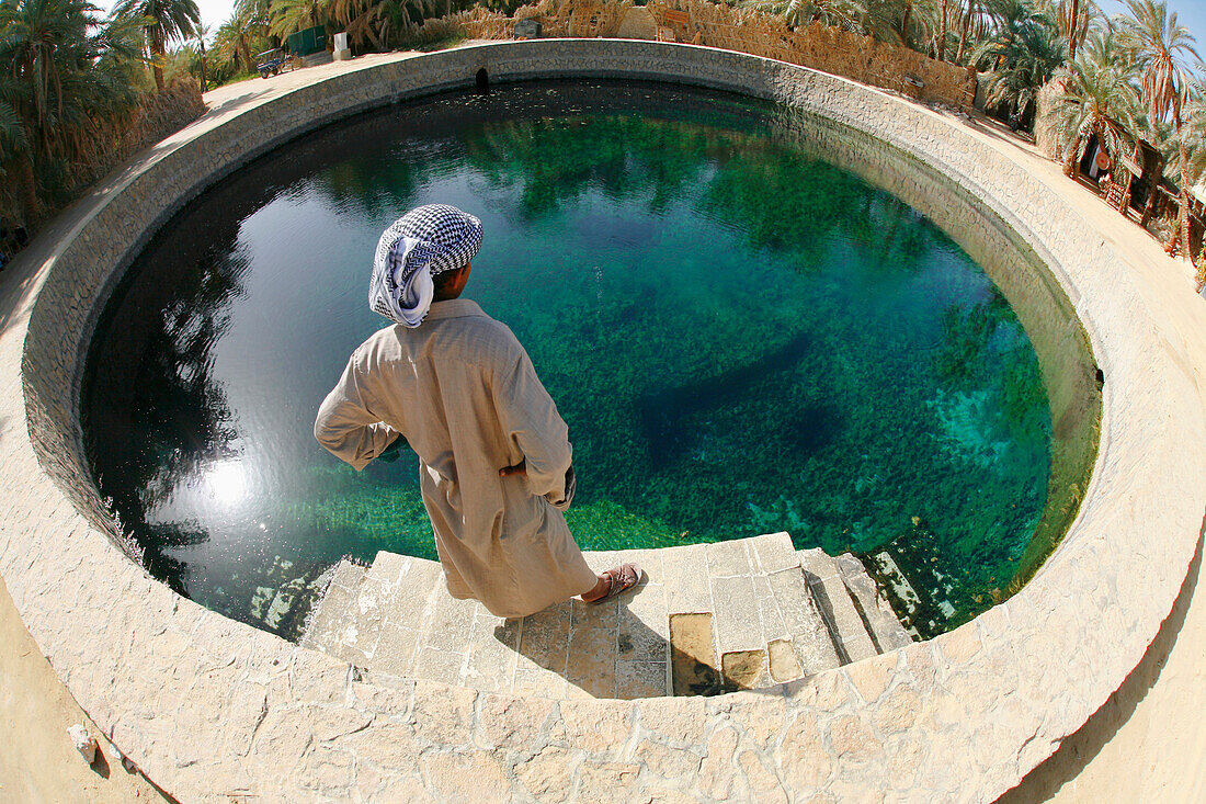 Ein einheimischer Siwaner schaut in Kleopatras Pool, eine natürliche Süßwasserquelle in Siwa in der Siwa-Oase; Siwa Ägypten