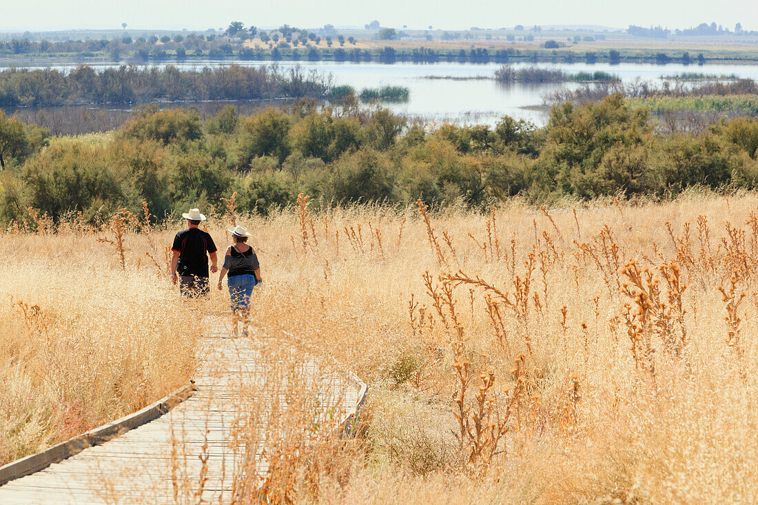 Ein Paar geht auf dem Holzsteg durch den Nationalpark Tablas De Daimiel; Provinz Ciudad Real Spanien