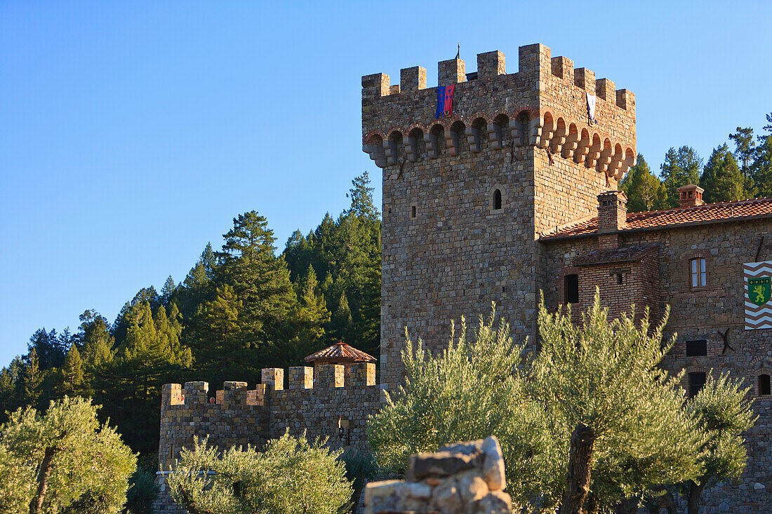 Castello Di Amorosa Weingut; Napa Area California Vereinigte Staaten Von Amerika