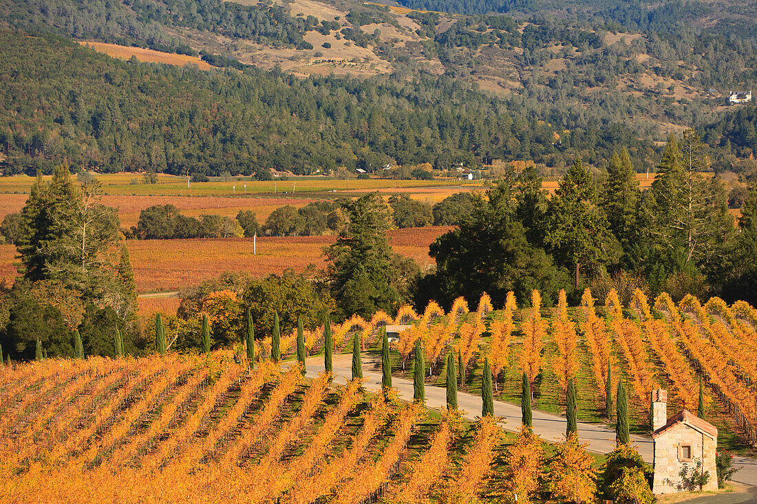 Castello Di Amorosa Winery; Napa Area California United States Of America