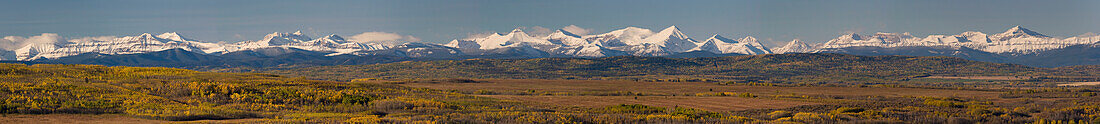 Panorama Of Snow Capped Mountains With Fall Colours Along The Foothills With Blue Sky; Calgary Alberta Canada