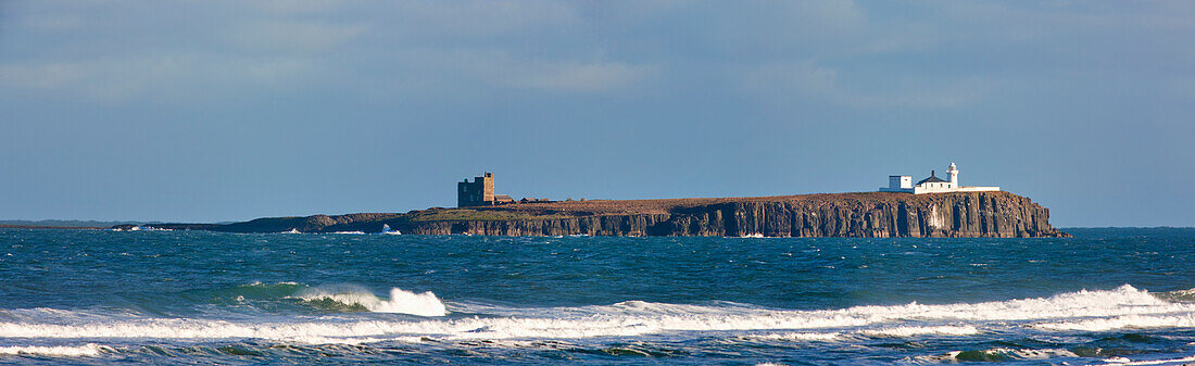 Coquet Island Northumberland England