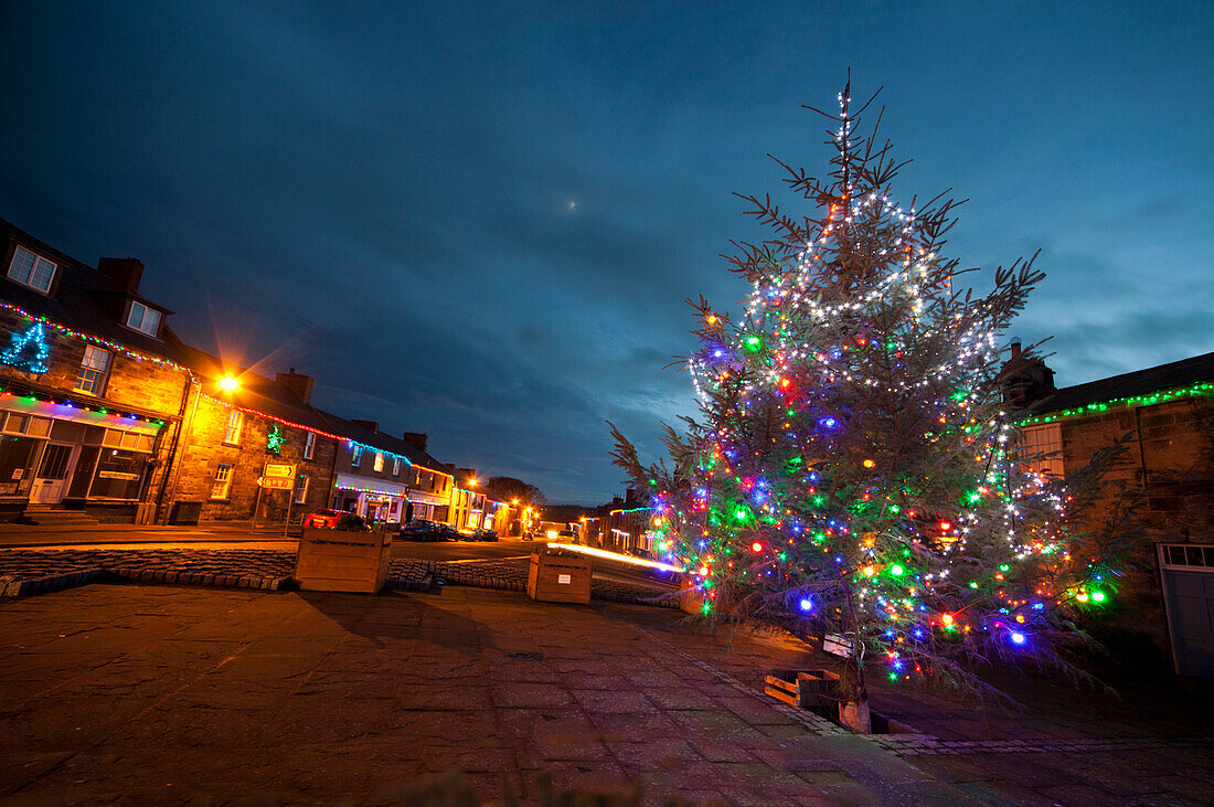 An Outdoor Tree Decorated In Colourful Lights For Christmas; Belford Northumberland England