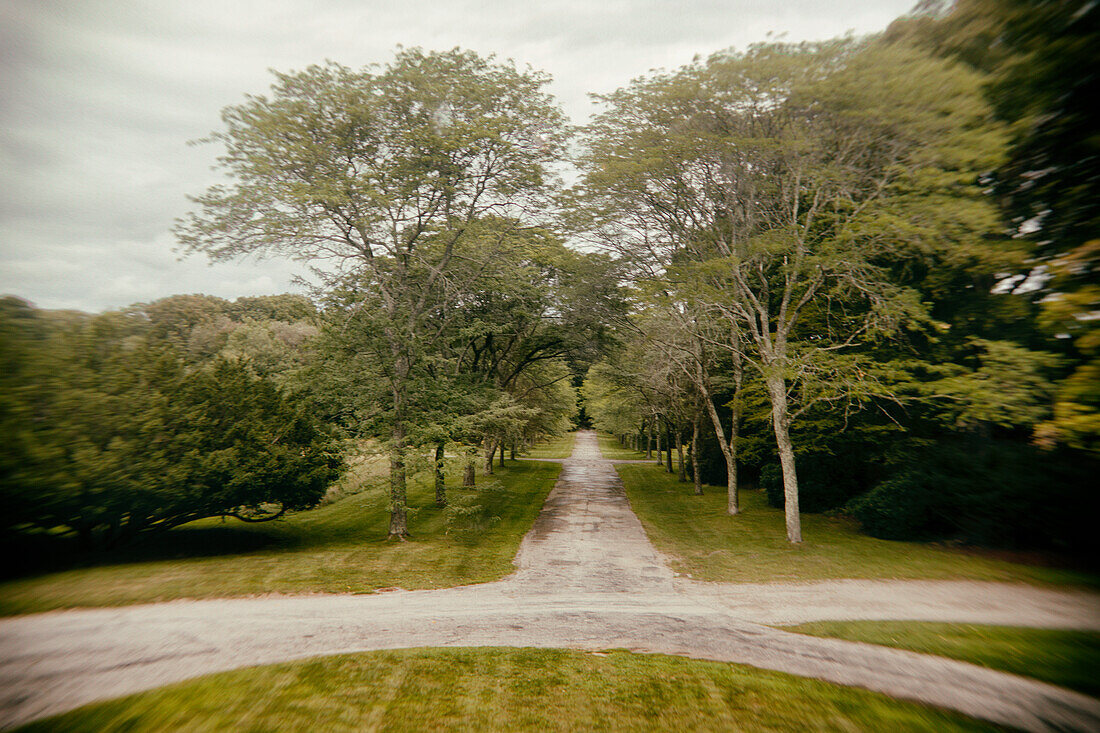 Walking Paths lined with Trees