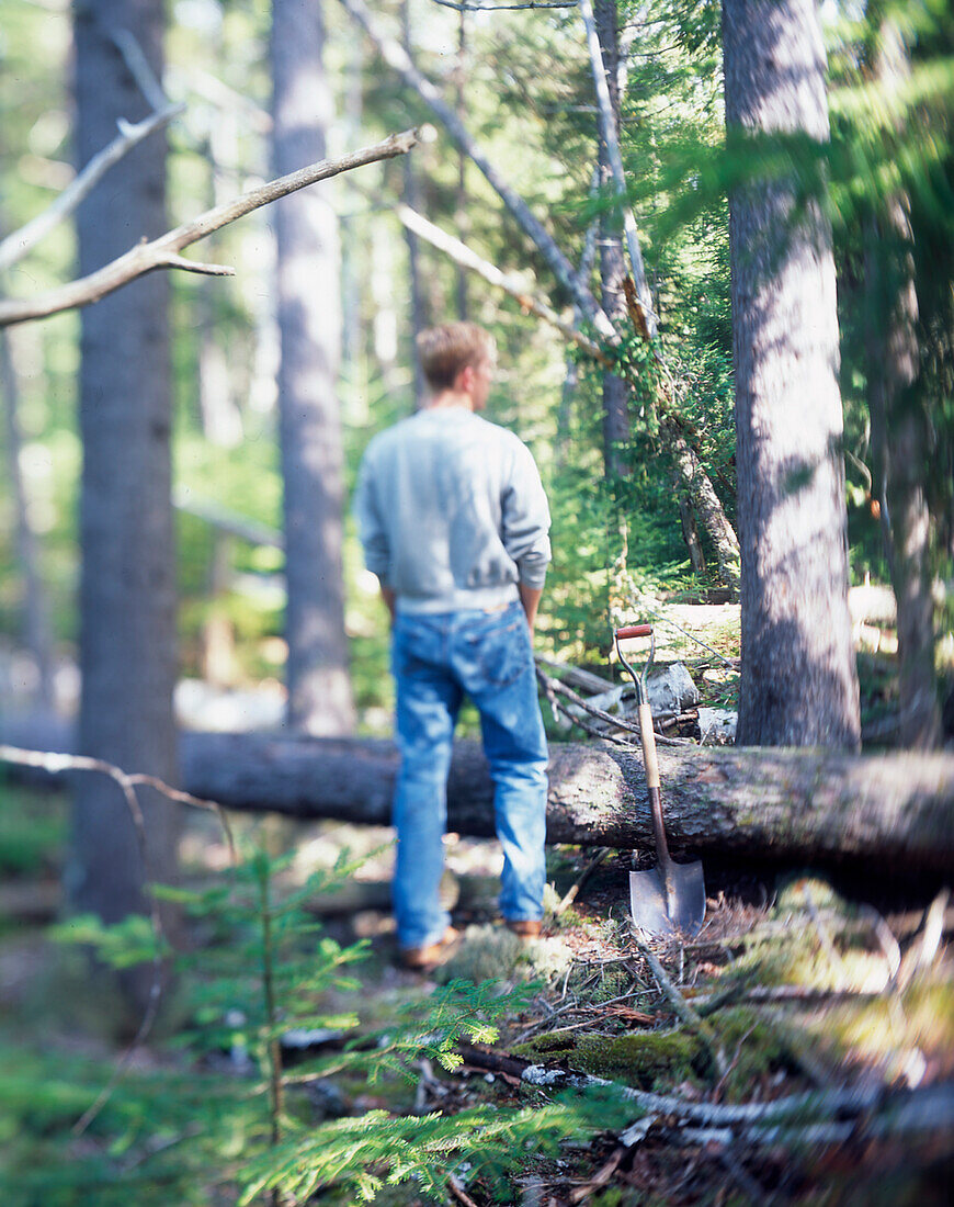 Rückansicht eines Mannes, der neben einem umgestürzten Baum und einer Schaufel im Wald steht