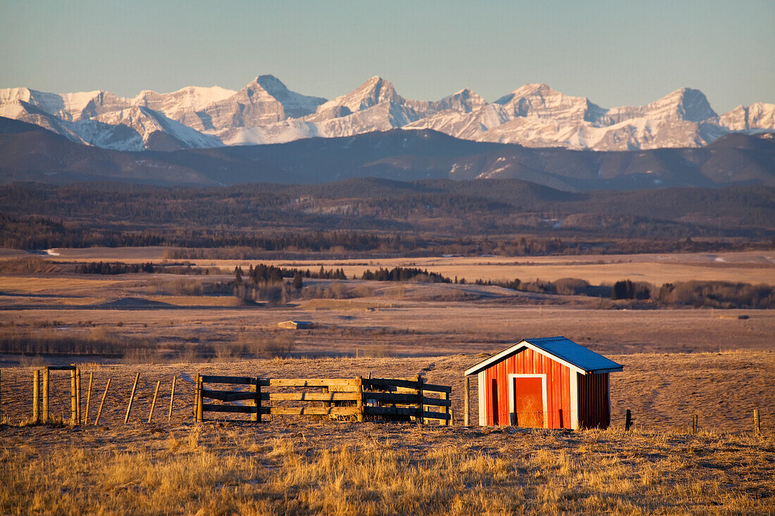 Warmly Lit Red Shack In Field With Wooden Fence And Mountains In The Background With Blue Sky At Sunrise South Of Cochrane; Alberta Canada