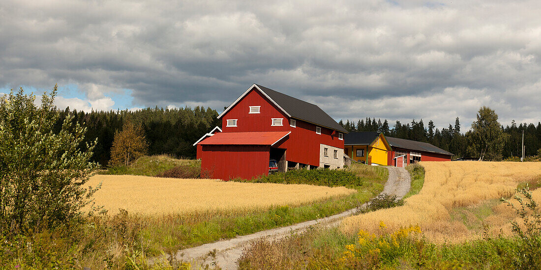 Rote und gelbe Häuser entlang einer Schotterstraße; Hochland Norwegen