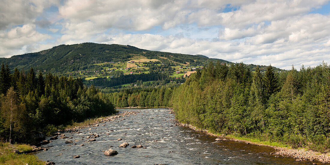 A River Surrounded By Forest; Highlands Norway