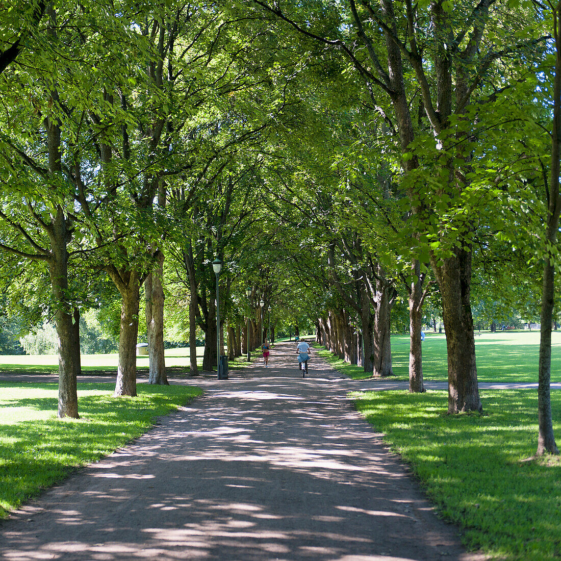 A Cyclist And Pedestrian On A Tree Lined Path; Oslo Norway