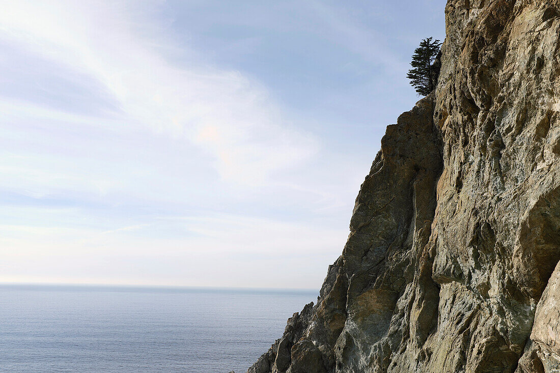 Rocky Cliff and Pacific Ocean, California, USA