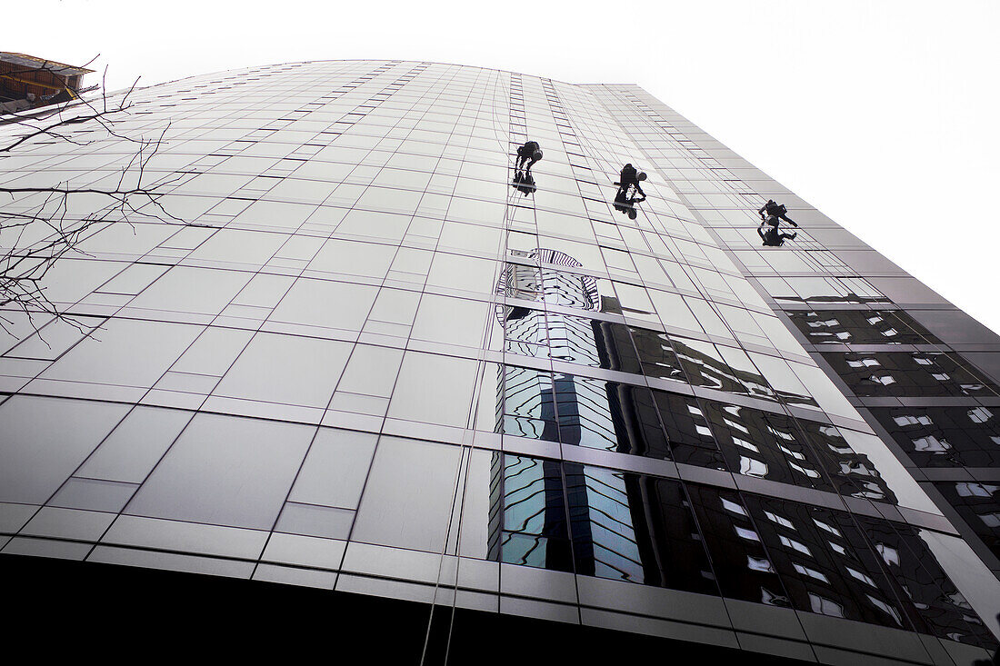 Low Angle View of Three Window Washers cleaning Windows of Modern Building