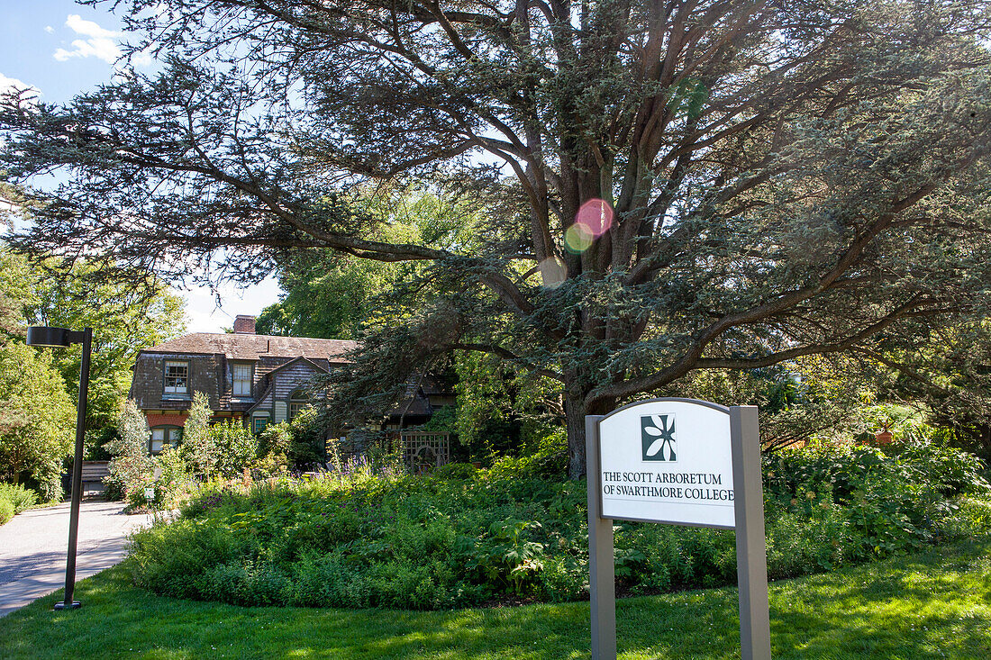 Scott Arboretum, Swarthmore College, Swarthmore, Pennsylvania, USA