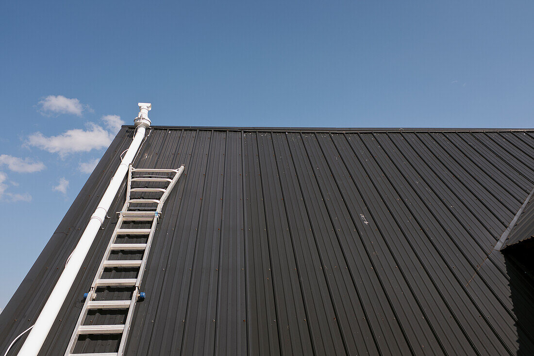 White ladder on Black Metal Roof