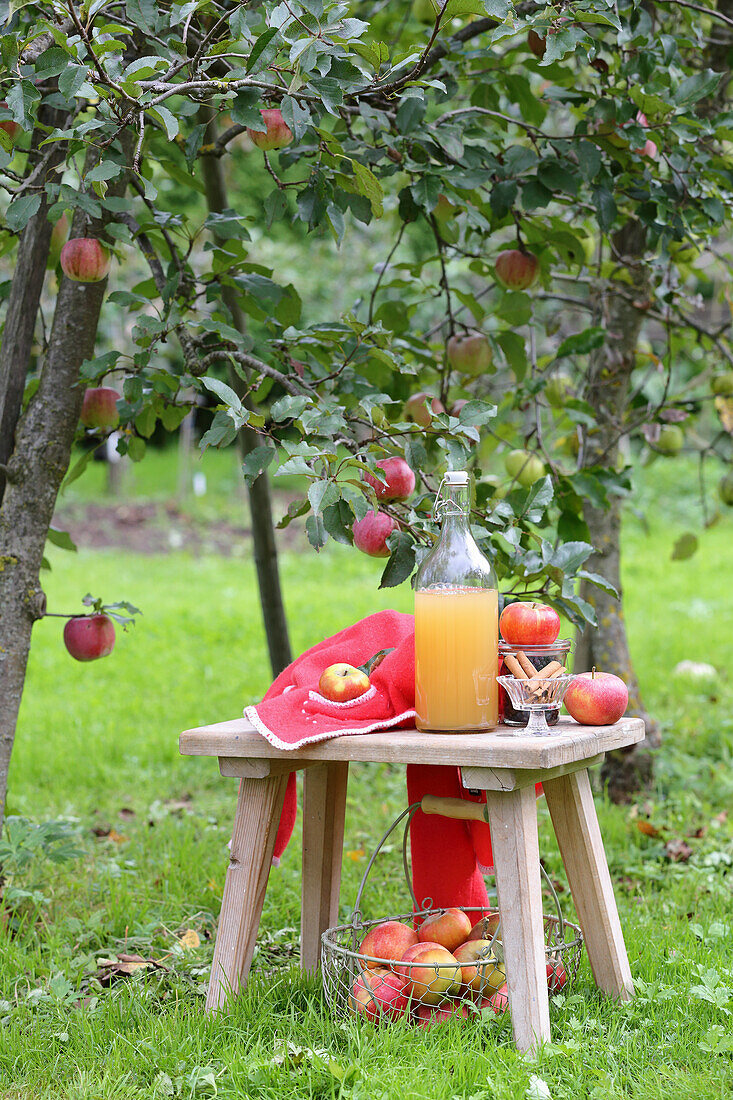 Spice drink with apple cider (for digestive problems)