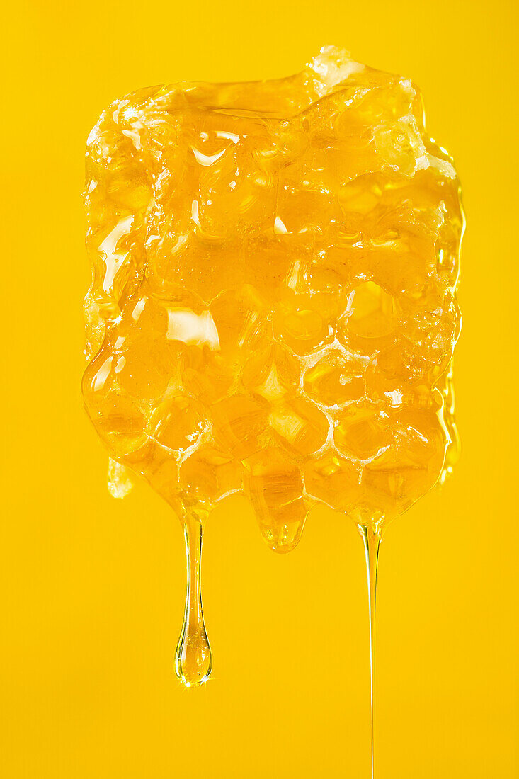 Honeycomb (macro shot)