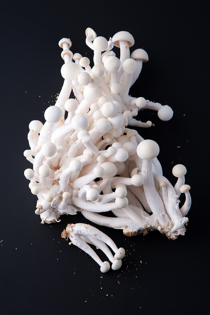 Enoki mushrooms on a black base