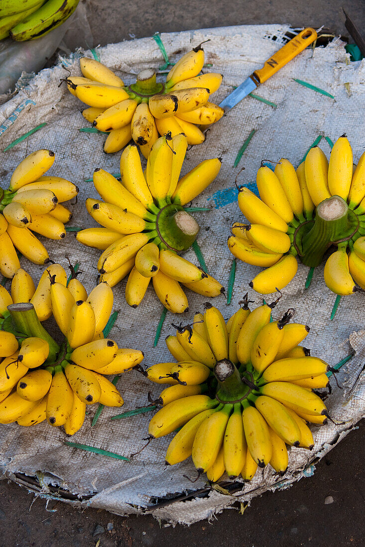 Yellow bananas (Vietnam)