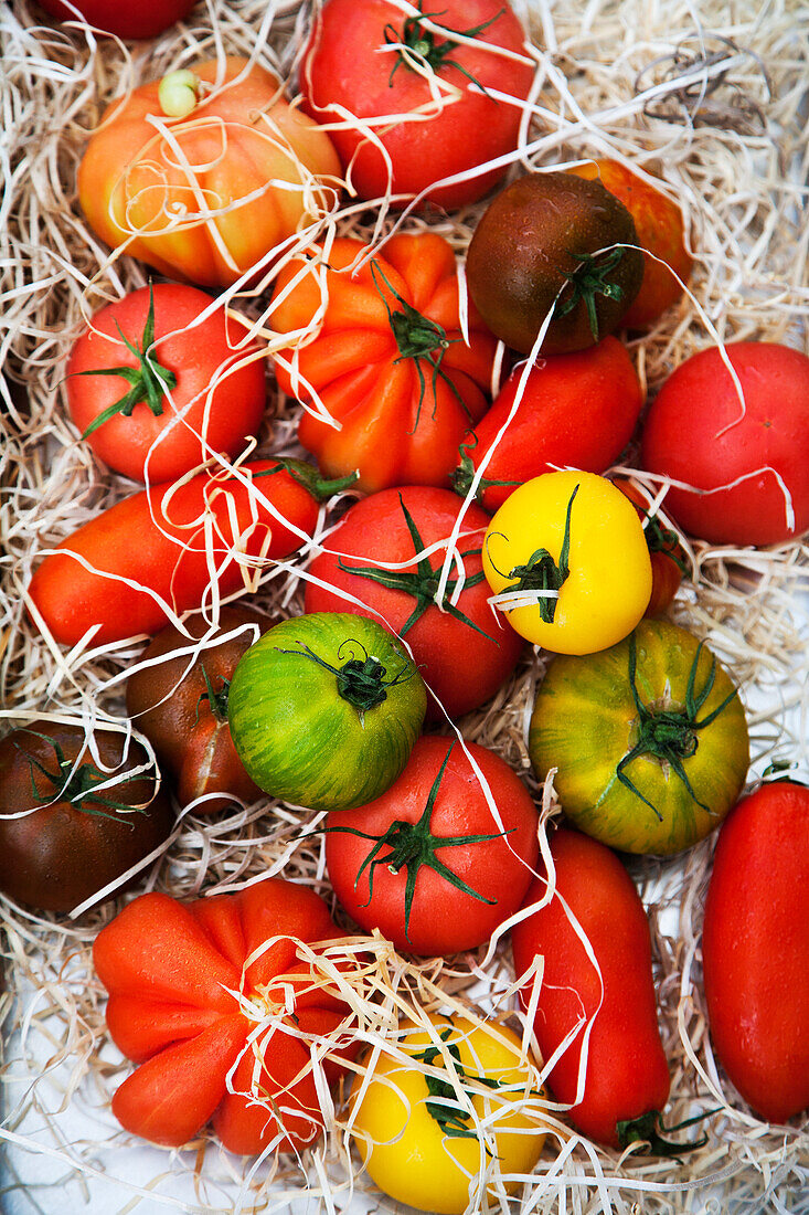 Assorted tomatoes