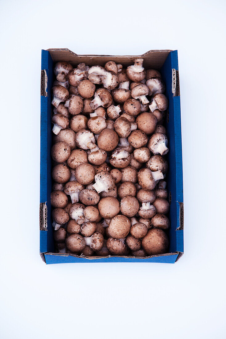 Mushrooms in a cardboard box