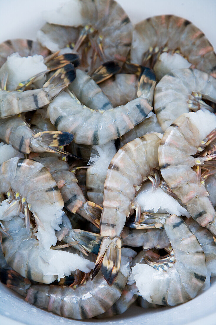 Fresh gambas