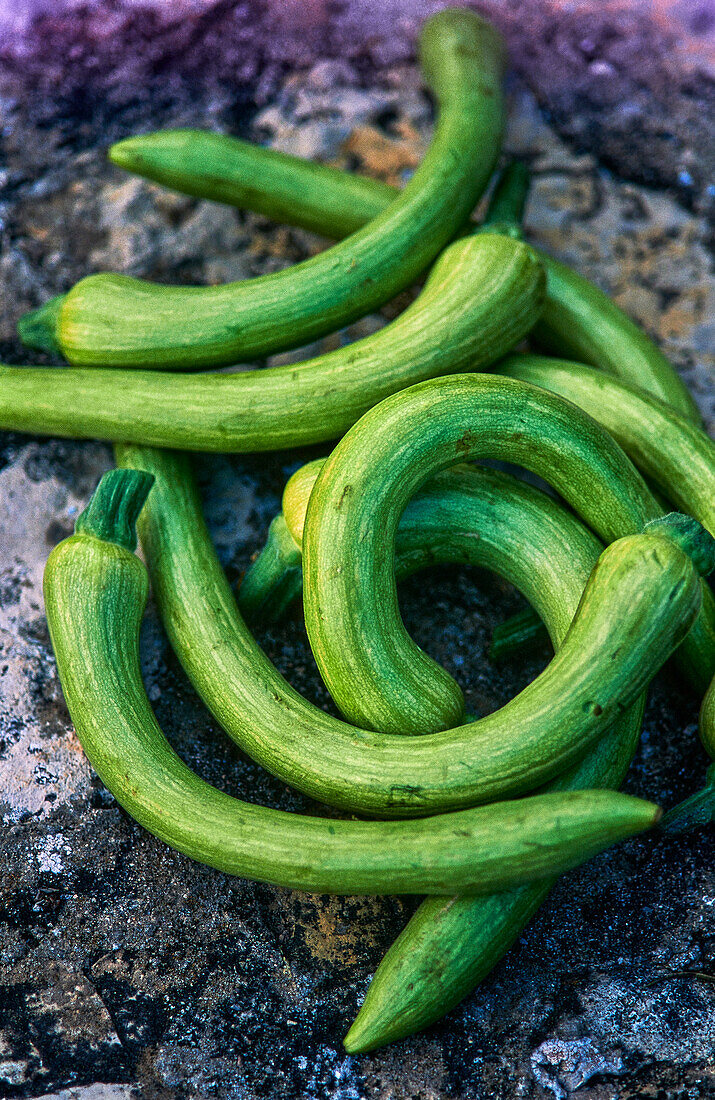 Trumpet zucchini